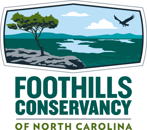 Foothills transparent logo