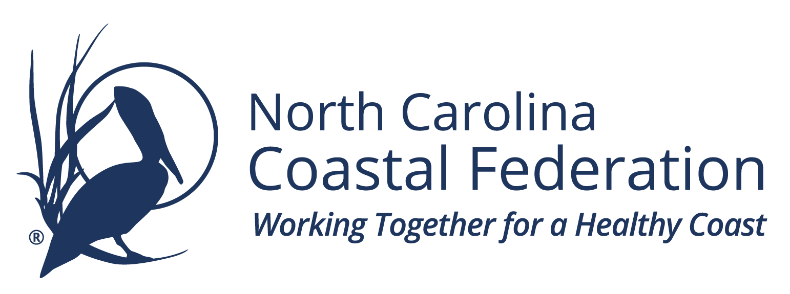 NCCF-logo