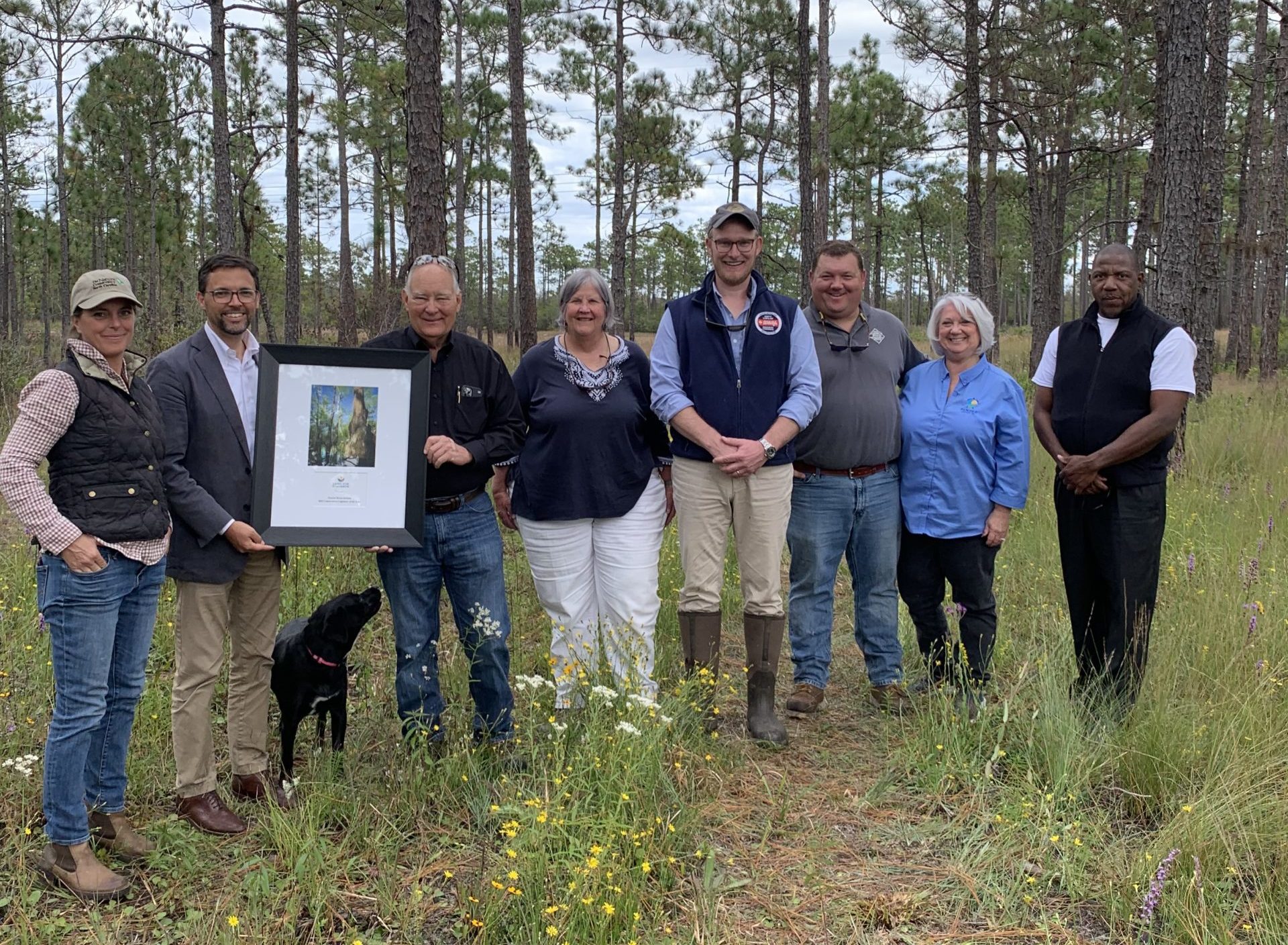 Sen. Brent Jackson Recognized as Land and Water Champion